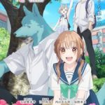 Kimi to Koete Koi ni Naru Episode 12